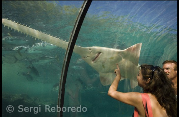 imagen mediana 11