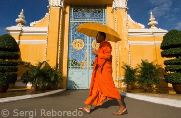 imagen mediana 20