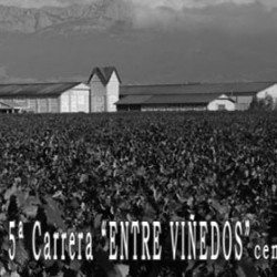imagen tema 23