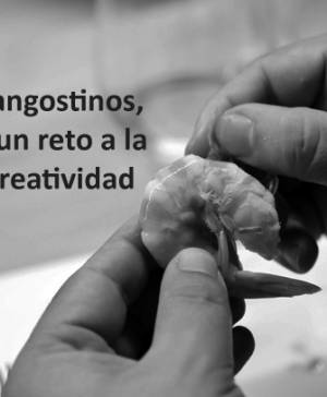 imagen ultima noticia tendencias