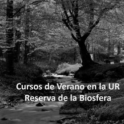 imagen tema 49