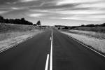 noticia de vivir 485 