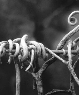 imagen ultima noticia turismo