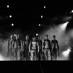 imagen tema 191