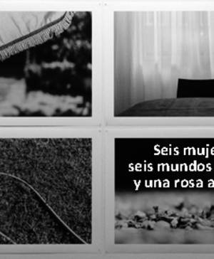 imagen ultima noticia cultura