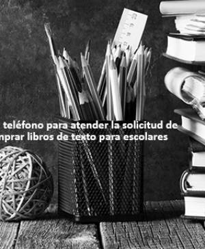 imagen ultima noticia vivir