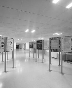 imagen ultima noticia vivir