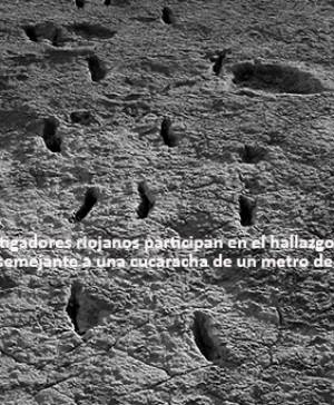 imagen ultima noticia vivir